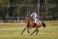 NZB Port Royal Isabella von ROEDER