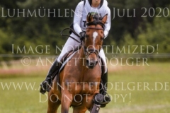 NZB Port Royal Isabella von ROEDER