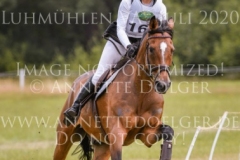 NZB Port Royal Isabella von ROEDER