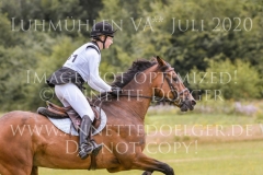 NZB Port Royal Isabella von ROEDER