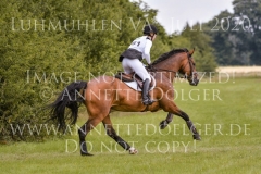 NZB Port Royal Isabella von ROEDER