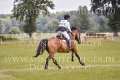 NZB Port Royal Isabella von ROEDER