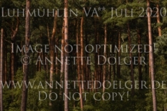 Venta H Henriette HAGEMANN