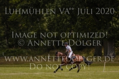 Sumas For Keeps Nicolai ALDINGER