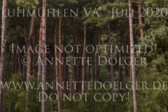 Sumas For Keeps Nicolai ALDINGER