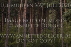 Madame D' Engelbourg Louise ROMEIKE