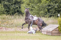 Daddys Surprise Johanna HUETTICH