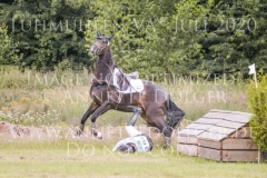 Daddys Surprise Johanna HUETTICH