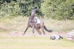 Daddys Surprise Johanna HUETTICH