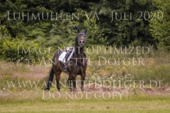 Daddys Surprise Johanna HUETTICH