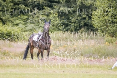 Daddys Surprise Johanna HUETTICH