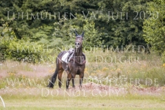 Daddys Surprise Johanna HUETTICH