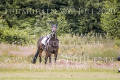 Daddys Surprise Johanna HUETTICH