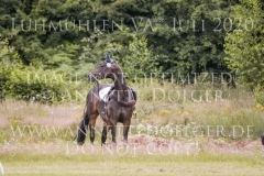 Daddys Surprise Johanna HUETTICH