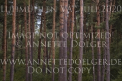 Peperoncini Ixes Susanne SITZER