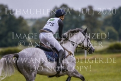 Icarus 31 Daya Singh HUJAN