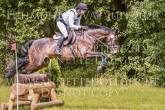 L'Aron des Bois Bernhard REEMTSMA