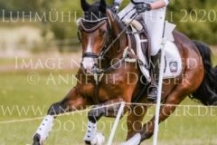 Wernisaz M 2 Carina KOCH