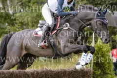 SF Vancouver 2 Dorothea FELD