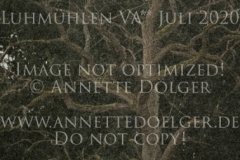 Impressionen Natur Regen