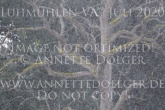 Impressionen Natur Regen