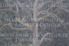 Impressionen Natur Regen