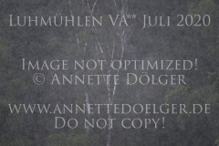 Impressionen Natur Regen