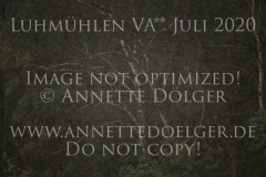 Impressionen Natur Regen