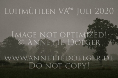 Impressionen Natur Regen