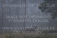 La Duma xx Sabrina MERTENS