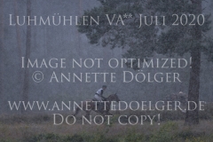 La Duma xx Sabrina MERTENS