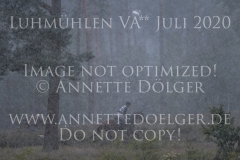 La Duma xx Sabrina MERTENS