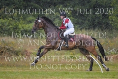 Abildgaards Synergi Simone VINTHER