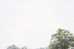 Solara 8 Rebecca-Juana GERKEN