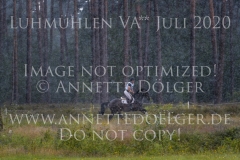 Solara 8 Rebecca-Juana GERKEN