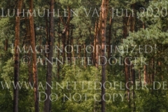 Shuttle Flight Julia BLANKE