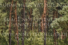 Gambia H Jan MATTHIAS