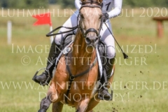 Caribian Dance Stella Maria REHM