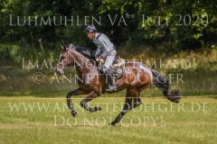 Ginger II Dirk SCHRADE