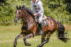 Ginger II Dirk SCHRADE