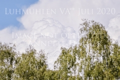 Ginger II Dirk SCHRADE