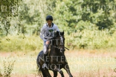 Ginger II Dirk SCHRADE