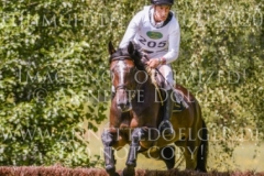 Ginger II Dirk SCHRADE