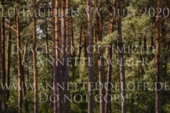 Zyprianus 2 Matti GARLICHS