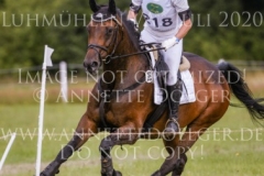 C'est la vie H Heike MEYERHOF