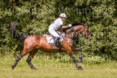 C'est la vie H Heike MEYERHOF