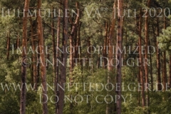 Rusty 418 Anuschka REUMANN