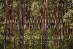 Rusty 418 Anuschka REUMANN