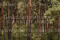 Rusty 418 Anuschka REUMANN