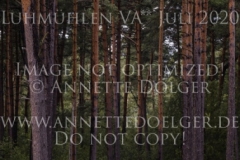 Conny S Magdalena STEINLE